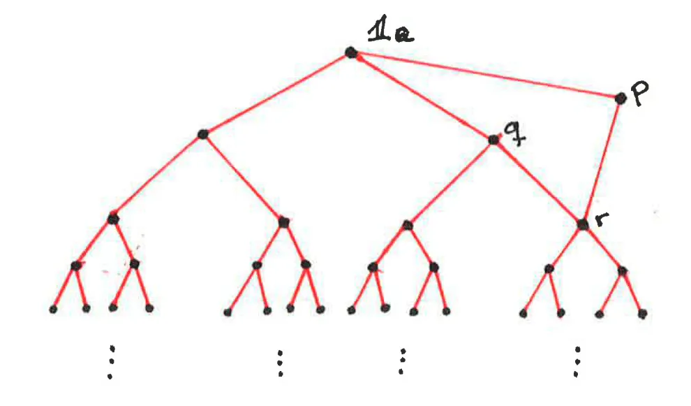 a diagram of a forcing being a full binary tree with an extra element p, which
is not comparable an element q